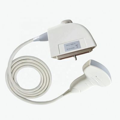Examination médicale électrique Siemens CH5-2 Ultrasons Transducteur de sonde humaine convexe