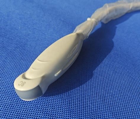 Transducteur de sonde microconvexe humaine GE 8C-RS
