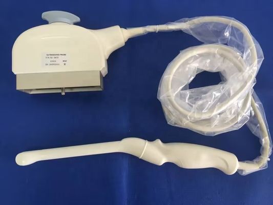 GE E8Cs Logiq P5/ P6/ P6 pro sonde à ultrasons transvaginaux avec connectivité sans fil