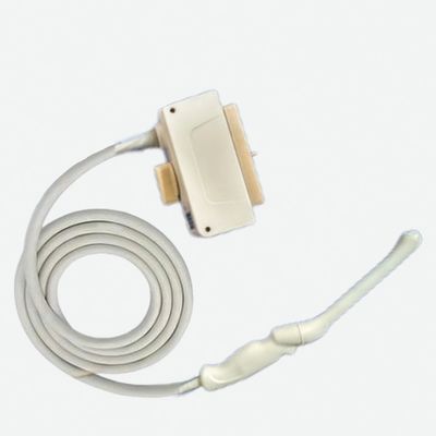 Examen médical avec une sonde transvaginale à ultrasons pour Accuvix XG V20 EKO7 AKEV4-9/10ED