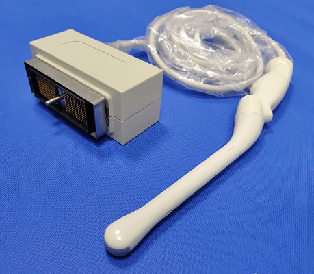 Système d'imagerie diagnostique Transducteur transvaginal AXEV4-9/10ED Instrument médical V20
