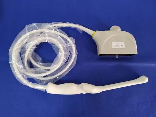 Transducteur de sonde transvaginale humaine électrique Mindray Z6 compatible avec 6CV1P