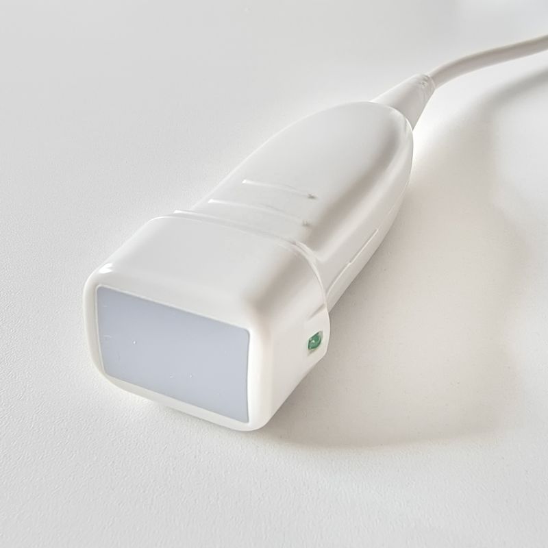 Transducteur à ultrasons Siemens P4-2 de classe II compatible avec le crâne pour G40/X150/X300/X700